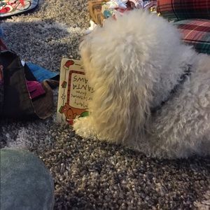 Meet your Posher, Catherine